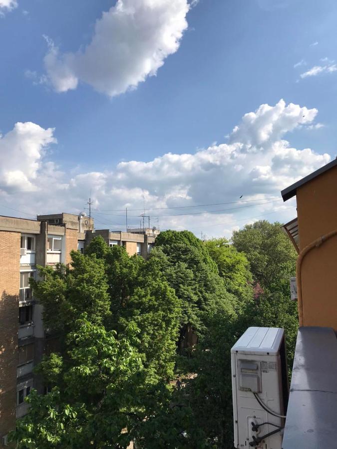 Apartman Kej Novi Sad Dış mekan fotoğraf
